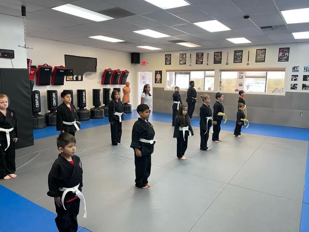 Crow Martial Arts Academy Juniors MMA - Ages (4-13)